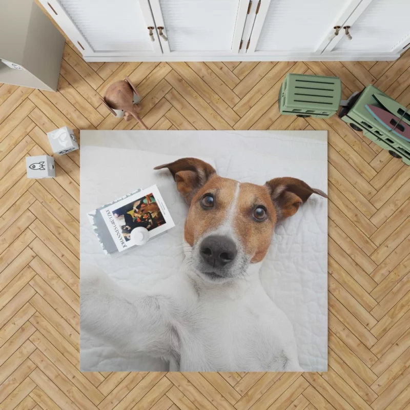 Dogs Capture Selfies Canine Humor Rug