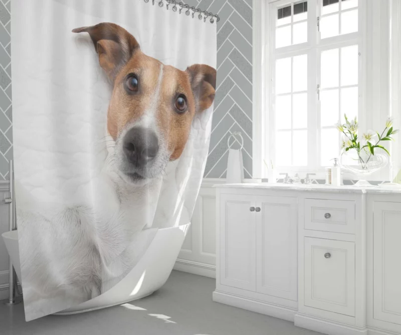 Dogs Capture Selfies Canine Humor Shower Curtain 1