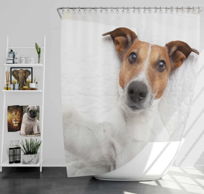 Dogs Capture Selfies Canine Humor Shower Curtain