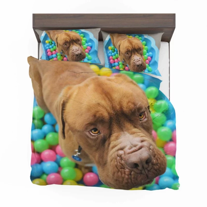 Dogue de Bordeaux Distinguished Muzzle Canine Elegance Bedding Set 1