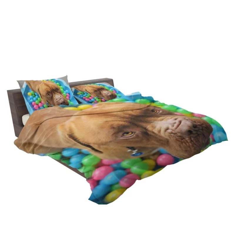 Dogue de Bordeaux Distinguished Muzzle Canine Elegance Bedding Set 2