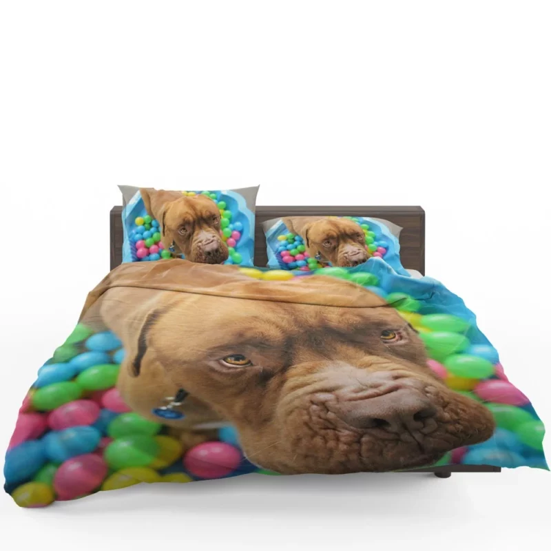 Dogue de Bordeaux Distinguished Muzzle Canine Elegance Bedding Set