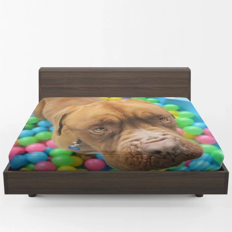 Dogue de Bordeaux Distinguished Muzzle Canine Elegance Fitted Sheet