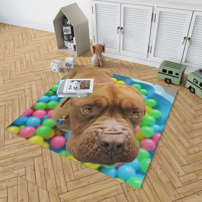 Dogue de Bordeaux Distinguished Muzzle Canine Elegance Rug 1