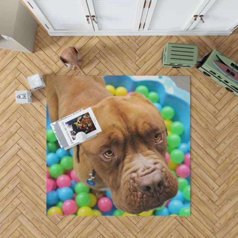 Dogue de Bordeaux Distinguished Muzzle Canine Elegance Rug