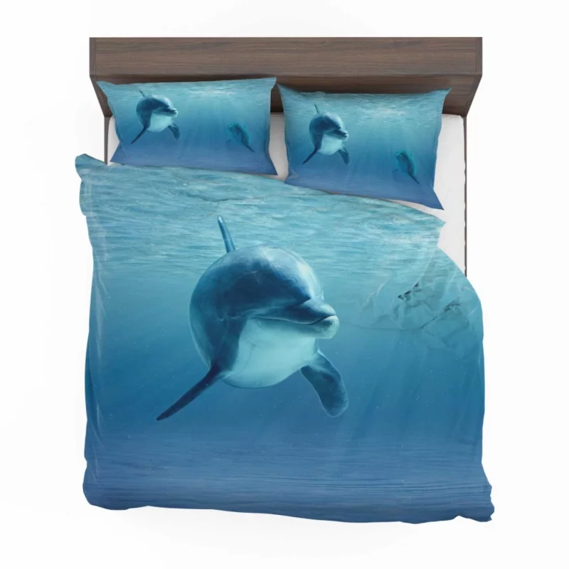 Dolphin Sunbeam Dance Ocean Delight Bedding Set 1