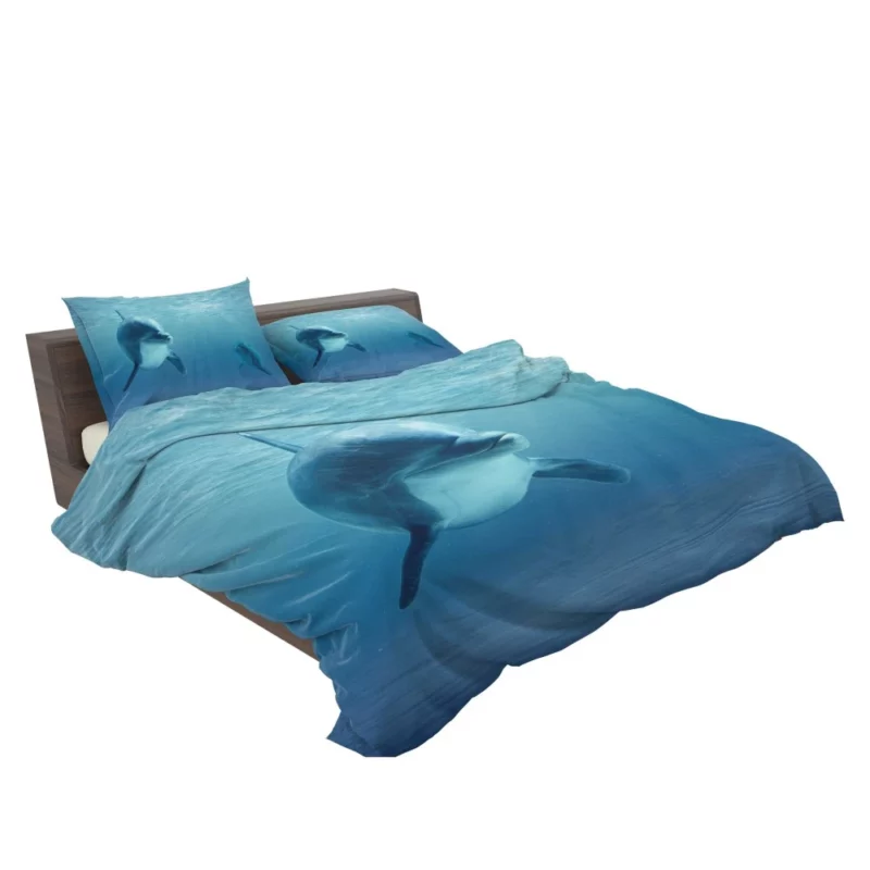 Dolphin Sunbeam Dance Ocean Delight Bedding Set 2