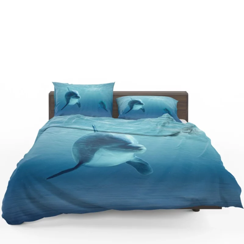 Dolphin Sunbeam Dance Ocean Delight Bedding Set