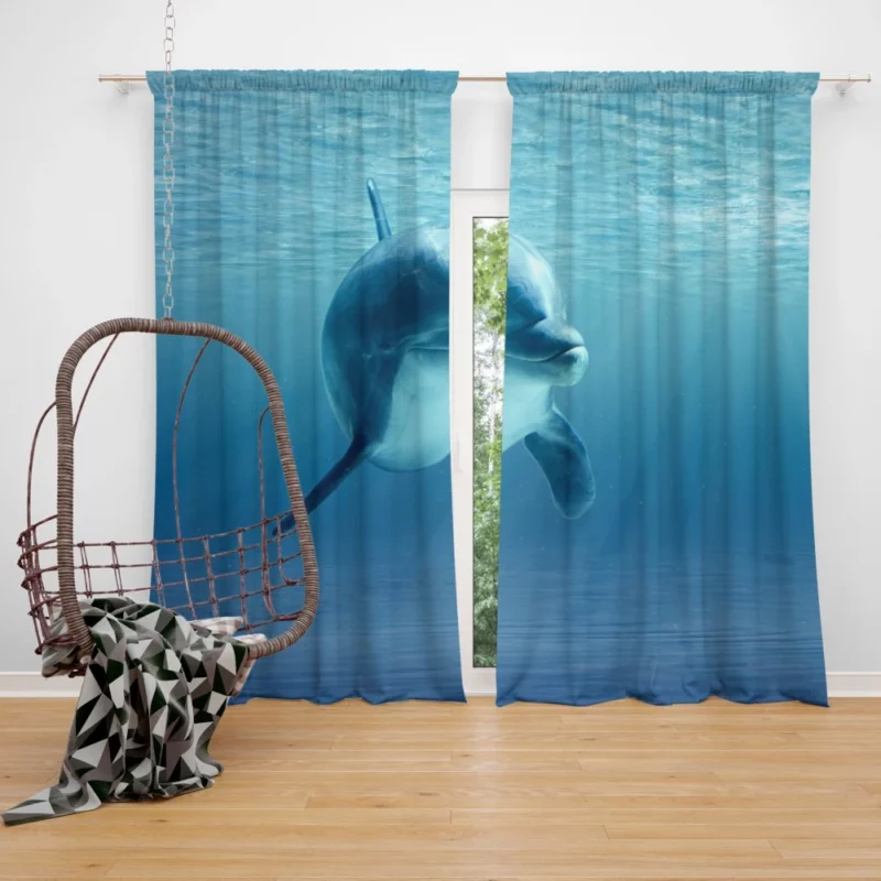 Dolphin Sunbeam Dance Ocean Delight Curtain