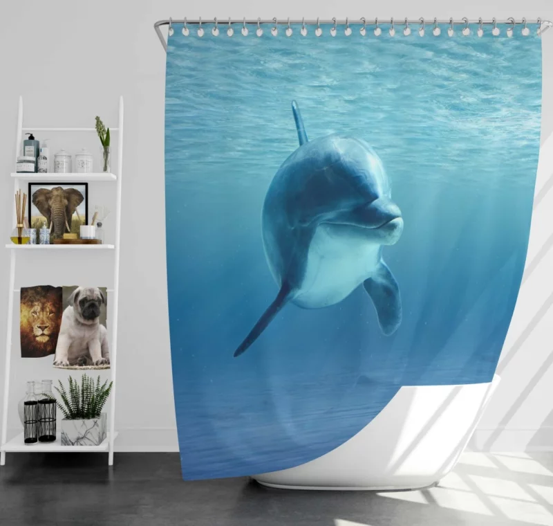 Dolphin Sunbeam Dance Ocean Delight Shower Curtain