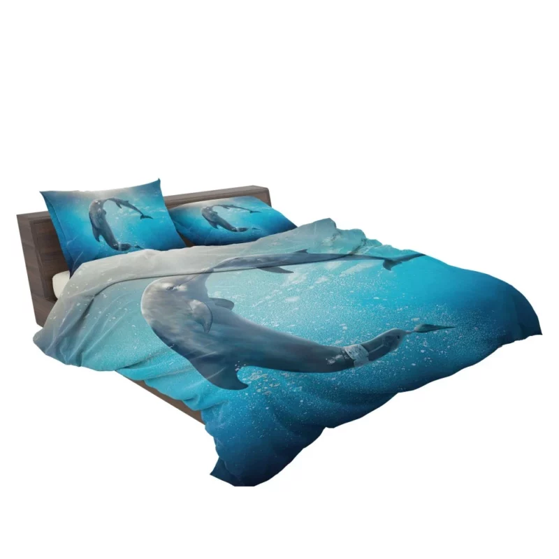 Dolphin Tale 2 Aquatic Sequel Joy Bedding Set 2