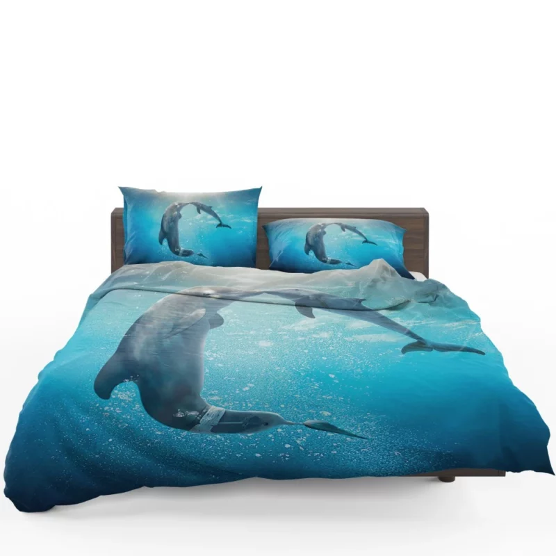 Dolphin Tale 2 Aquatic Sequel Joy Bedding Set