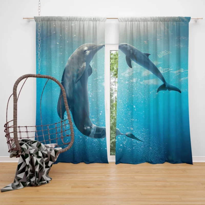 Dolphin Tale 2 Aquatic Sequel Joy Curtain