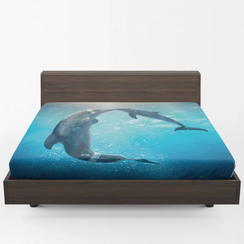 Dolphin Tale 2 Aquatic Sequel Joy Fitted Sheet