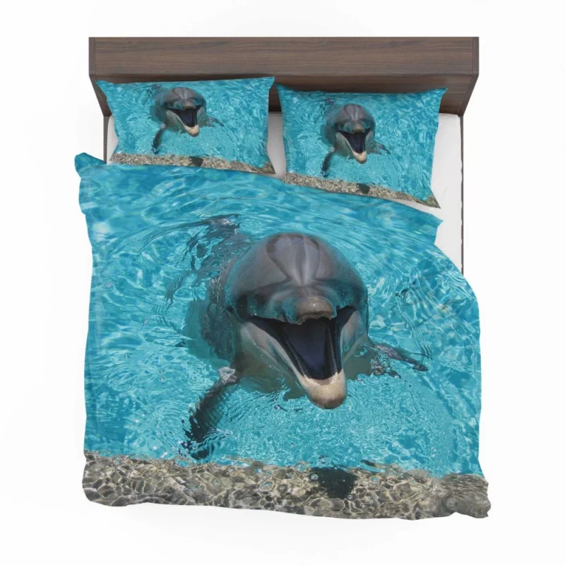 Dolphins Dance Ocean Harmony Bedding Set 1