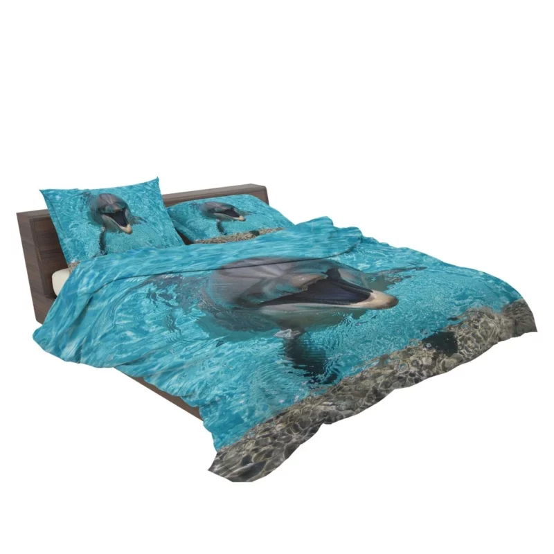 Dolphins Dance Ocean Harmony Bedding Set 2