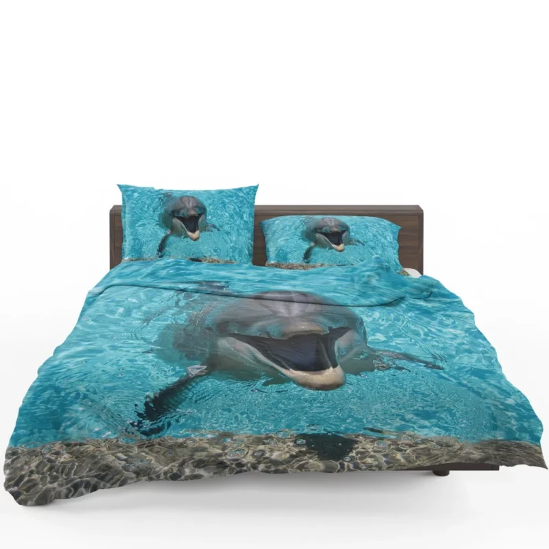 Dolphins Dance Ocean Harmony Bedding Set