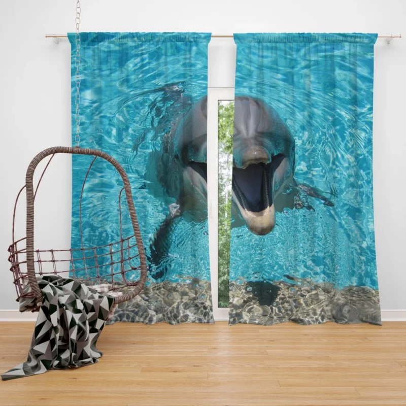 Dolphins Dance Ocean Harmony Curtain