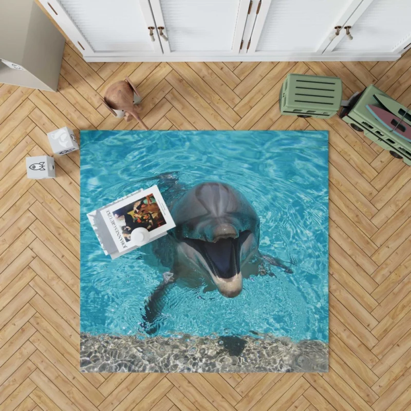 Dolphins Dance Ocean Harmony Rug