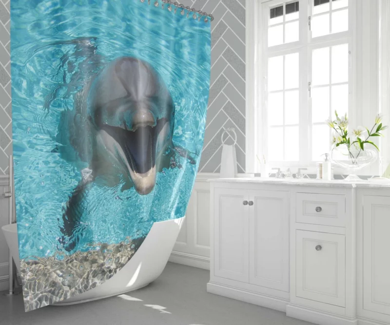 Dolphins Dance Ocean Harmony Shower Curtain 1