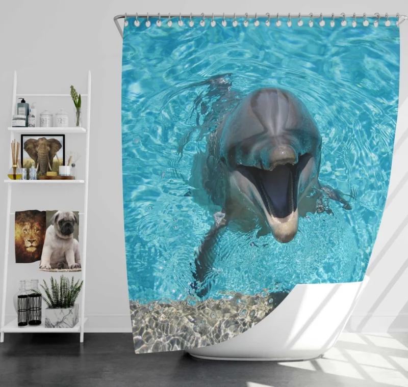 Dolphins Dance Ocean Harmony Shower Curtain