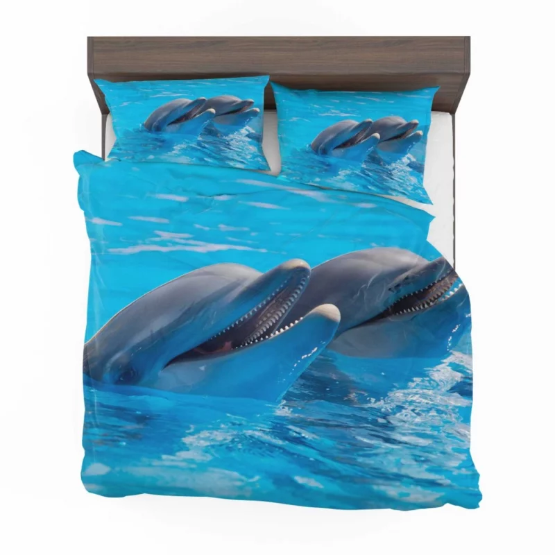 Dolphins Delight Ocean Harmony Bedding Set 1