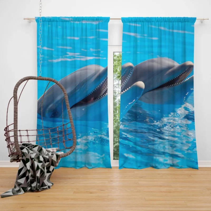 Dolphins Delight Ocean Harmony Curtain