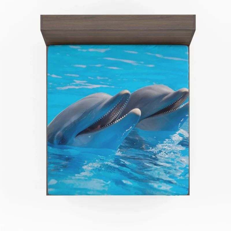 Dolphins Delight Ocean Harmony Fitted Sheet 1