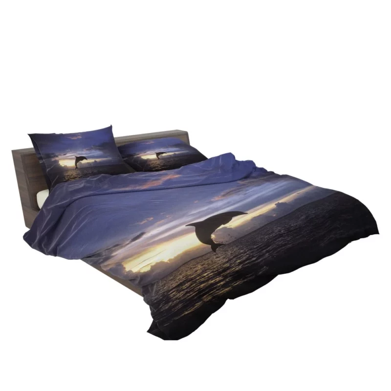 Dolphins Play Aquatic Companionship Bedding Set 2