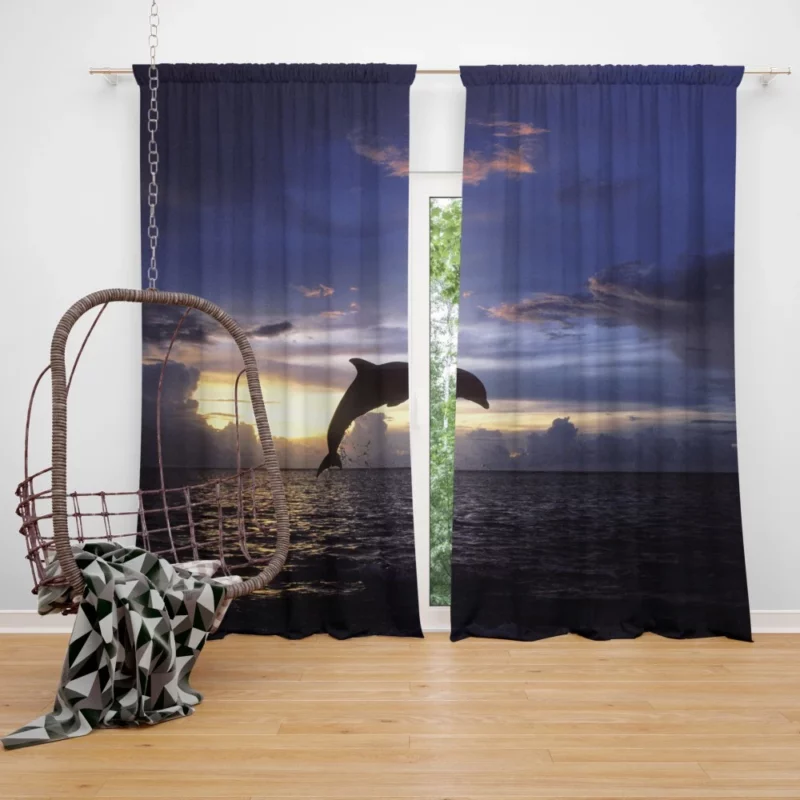 Dolphins Play Aquatic Companionship Curtain