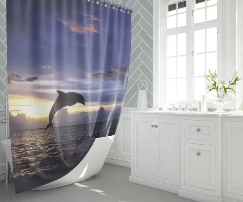 Dolphins Play Aquatic Companionship Shower Curtain 1