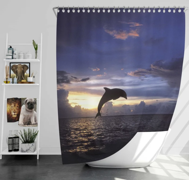 Dolphins Play Aquatic Companionship Shower Curtain