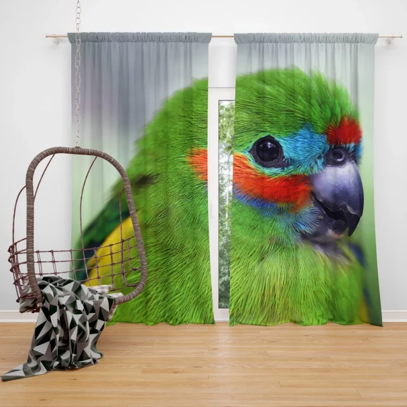 Double-Eyed Fig Parrot Exotic Essence Vibrant Plumage Curtain