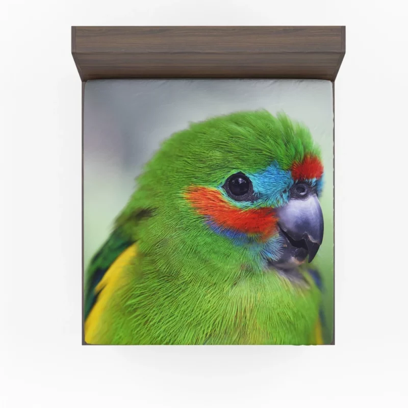 Double-Eyed Fig Parrot Exotic Essence Vibrant Plumage Fitted Sheet 1