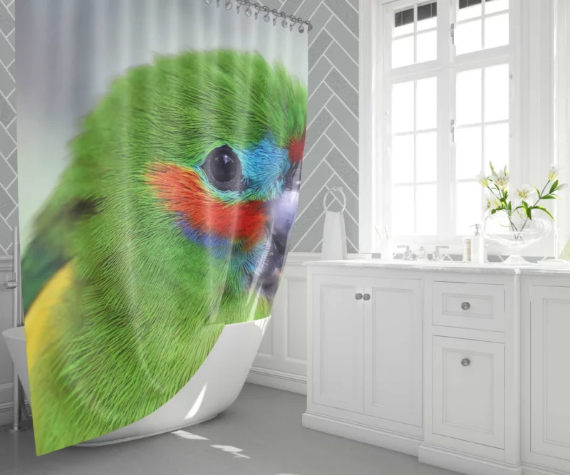 Double-Eyed Fig Parrot Exotic Essence Vibrant Plumage Shower Curtain 1