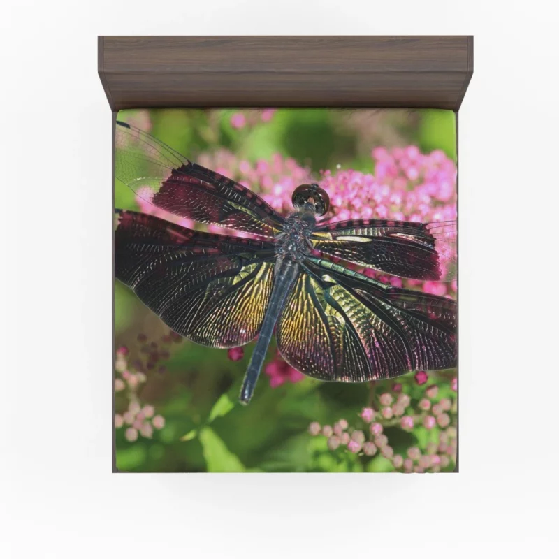 Dragonfly on Flower Nature Marvel Fitted Sheet 1