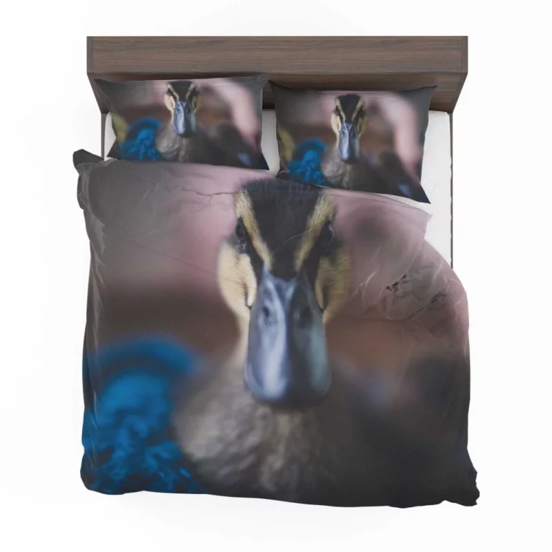 Duck Curious Stare Quacking Observer Bedding Set 1