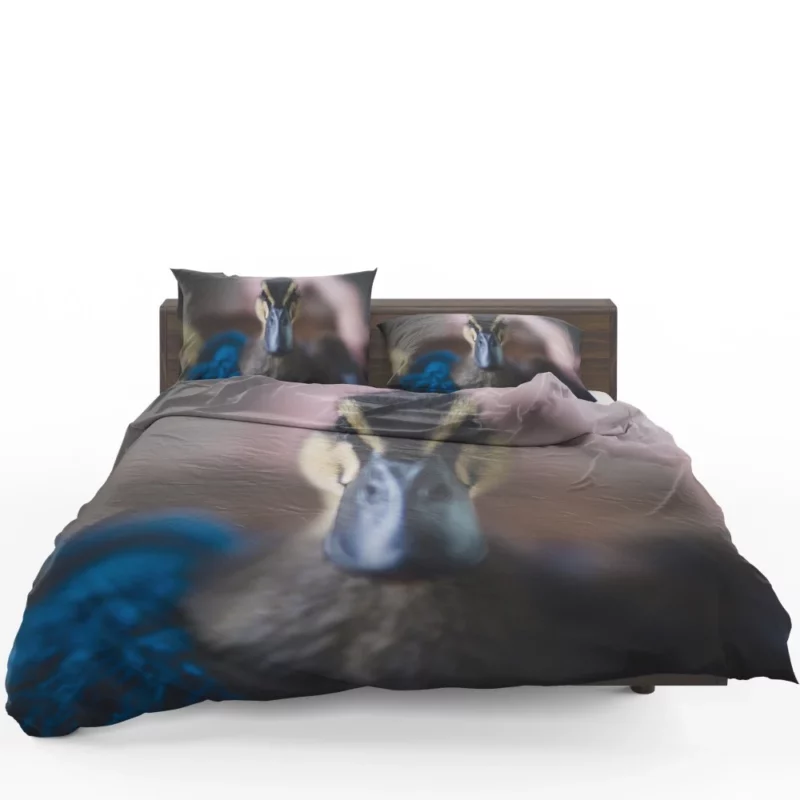 Duck Curious Stare Quacking Observer Bedding Set