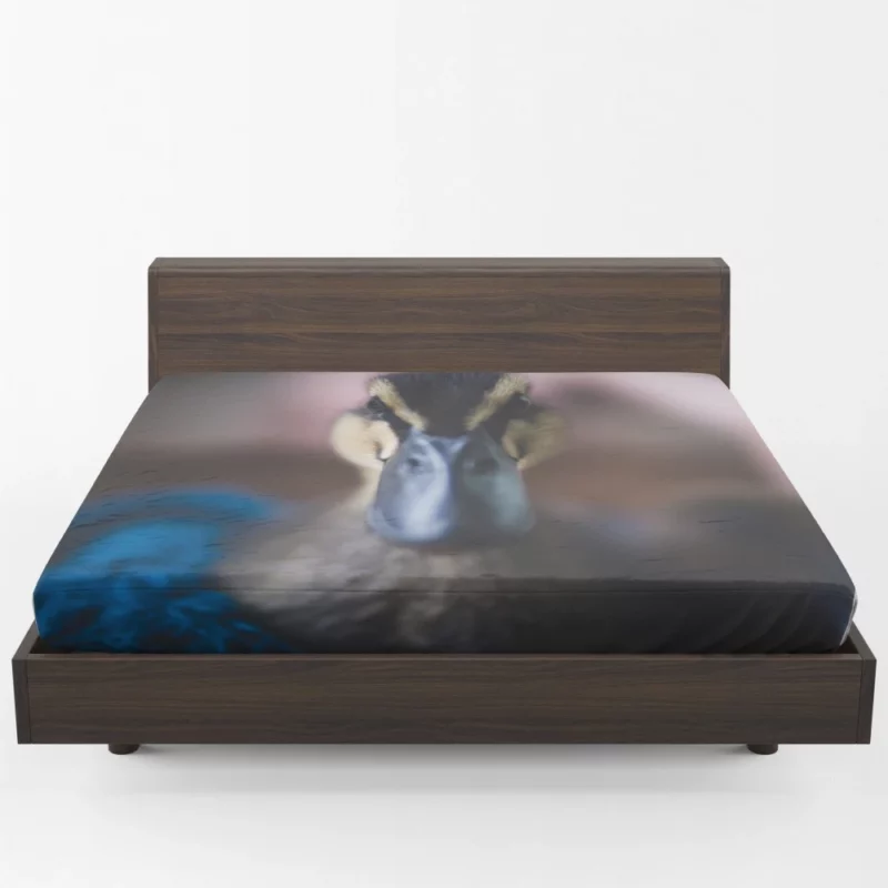 Duck Curious Stare Quacking Observer Fitted Sheet