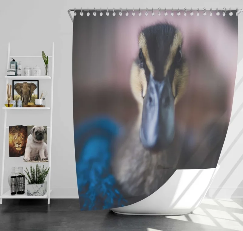 Duck Curious Stare Quacking Observer Shower Curtain