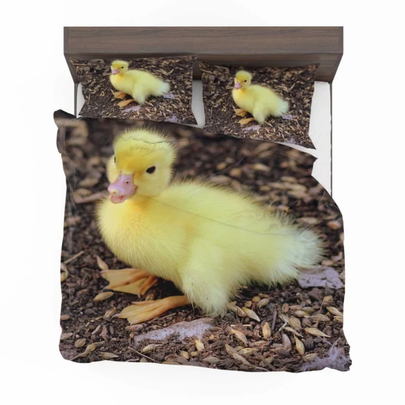 Duckling Curious Stance Fuzzy Wonder Bedding Set 1