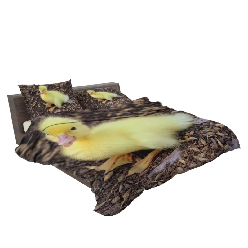 Duckling Curious Stance Fuzzy Wonder Bedding Set 2