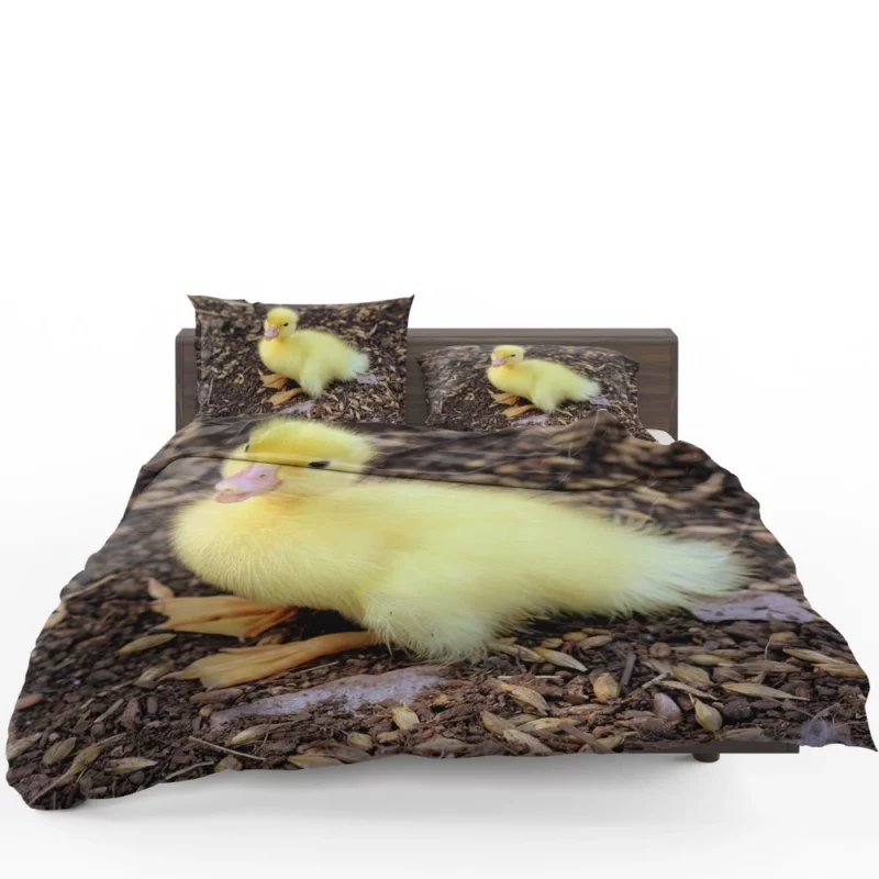 Duckling Curious Stance Fuzzy Wonder Bedding Set