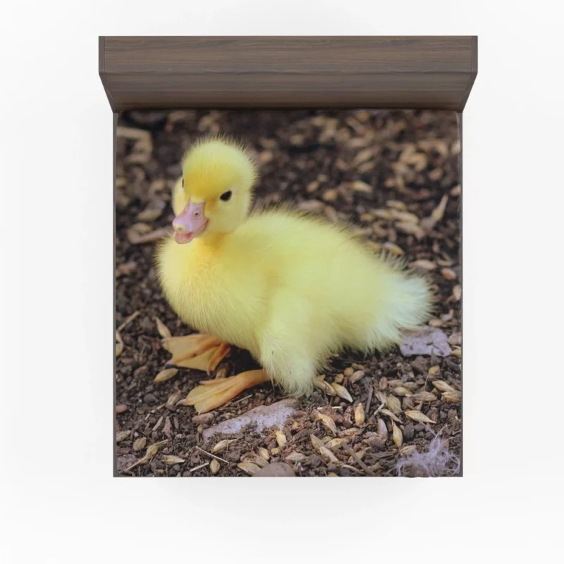 Duckling Curious Stance Fuzzy Wonder Fitted Sheet 1