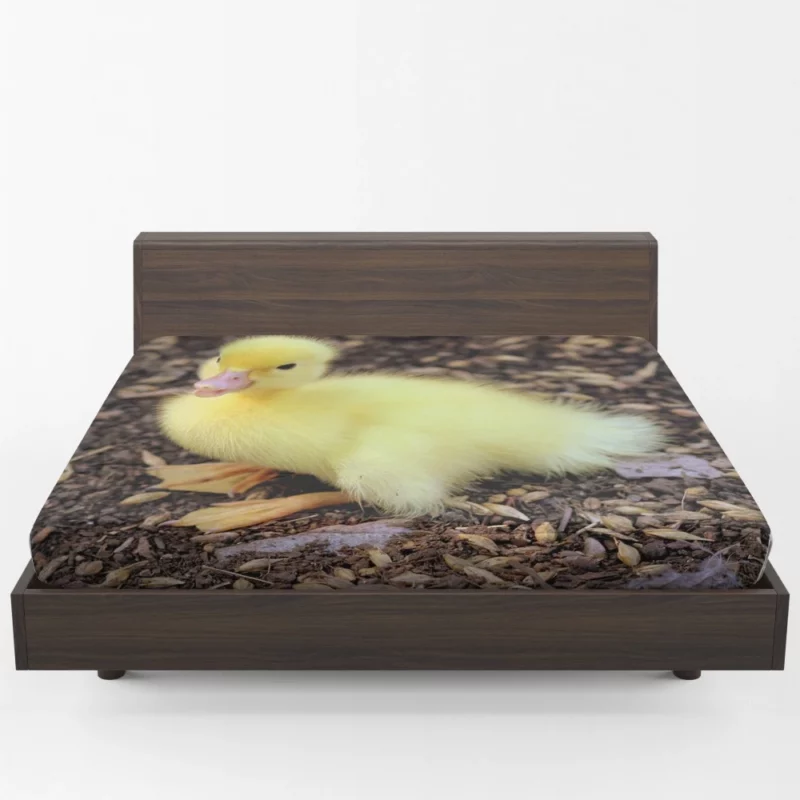 Duckling Curious Stance Fuzzy Wonder Fitted Sheet