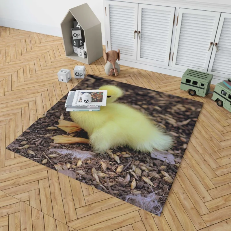 Duckling Curious Stance Fuzzy Wonder Rug 1