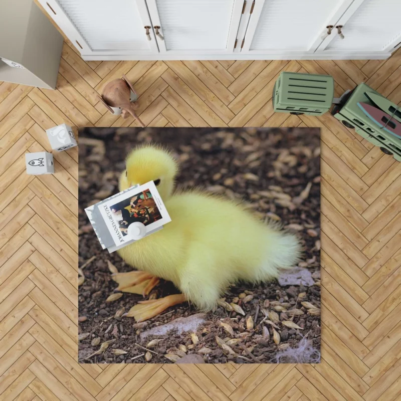 Duckling Curious Stance Fuzzy Wonder Rug