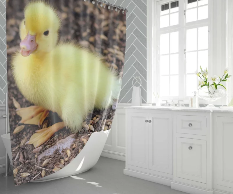 Duckling Curious Stance Fuzzy Wonder Shower Curtain 1