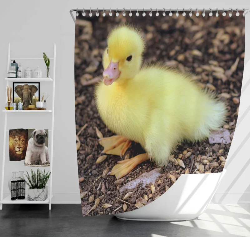 Duckling Curious Stance Fuzzy Wonder Shower Curtain