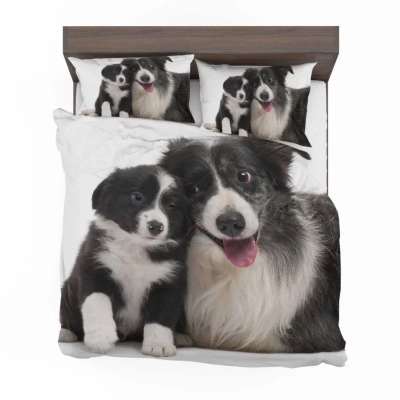 Dynamic Duo Border Collie Pups Bedding Set 1